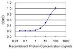 HOXA1 Antibody in ELISA (ELISA)