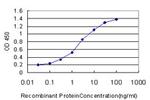 HOXA11 Antibody in ELISA (ELISA)