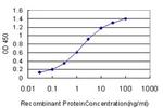 HOXA11 Antibody in ELISA (ELISA)