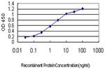 HOXB1 Antibody in ELISA (ELISA)