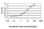 HOXB1 Antibody in ELISA (ELISA)