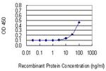 HPN Antibody in ELISA (ELISA)