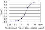 HES1 Antibody in ELISA (ELISA)