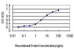 ID1 Antibody in ELISA (ELISA)