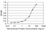 ID1 Antibody in ELISA (ELISA)