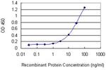 IFNA1 Antibody in ELISA (ELISA)