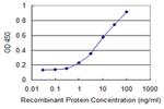 IKBKB Antibody in ELISA (ELISA)