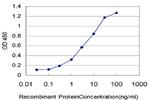 IL8 Antibody in ELISA (ELISA)