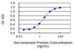 IL10 Antibody in ELISA (ELISA)