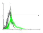 IL13RA2 Antibody in Flow Cytometry (Flow)