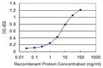 INPP5A Antibody in ELISA (ELISA)