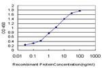 IRAK1 Antibody in ELISA (ELISA)