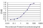 IRAK1 Antibody in ELISA (ELISA)