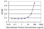 ITPA Antibody in ELISA (ELISA)