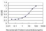 KDR Antibody in ELISA (ELISA)