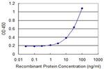 KEL Antibody in ELISA (ELISA)