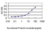 KHK Antibody in ELISA (ELISA)