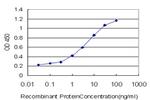 KISS1 Antibody in ELISA (ELISA)