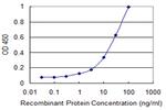 L1CAM Antibody in ELISA (ELISA)