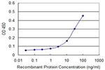 LFNG Antibody in ELISA (ELISA)