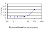 SMAD1 Antibody in ELISA (ELISA)