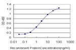 SMAD2 Antibody in ELISA (ELISA)