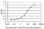 SMAD5 Antibody in ELISA (ELISA)