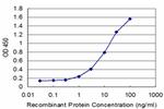 SMAD7 Antibody in ELISA (ELISA)