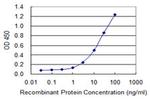 MBD1 Antibody in ELISA (ELISA)