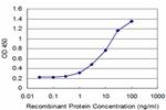 CD46 Antibody in ELISA (ELISA)