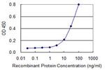 SMCP Antibody in ELISA (ELISA)