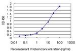 MAP3K5 Antibody in ELISA (ELISA)