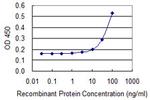 MGST2 Antibody in ELISA (ELISA)