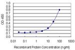 MMP3 Antibody in ELISA (ELISA)