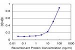 MSI1 Antibody in ELISA (ELISA)