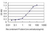 MSR1 Antibody in ELISA (ELISA)