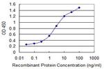 MSR1 Antibody in ELISA (ELISA)