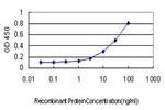 MTAP Antibody in ELISA (ELISA)