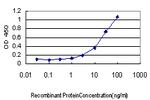 MUC5AC Antibody in ELISA (ELISA)