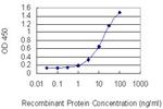 MYH3 Antibody in ELISA (ELISA)