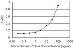 NELL2 Antibody in ELISA (ELISA)