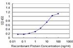 NEUROG1 Antibody in ELISA (ELISA)