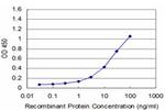 NEUROG1 Antibody in ELISA (ELISA)