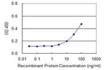 NF1 Antibody in ELISA (ELISA)