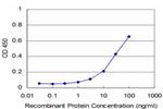 NFKB1 Antibody in ELISA (ELISA)