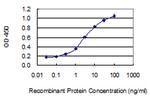 NFKBIE Antibody in ELISA (ELISA)