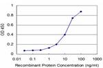 NKX3-1 Antibody in ELISA (ELISA)