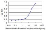 NNAT Antibody in ELISA (ELISA)