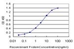 NME1 Antibody in ELISA (ELISA)