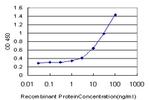 NNMT Antibody in ELISA (ELISA)